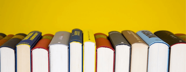 Latvijas Nacionālās bibliotēkas aicinājums Latvijas izdevējiem dalībai programmā “Jaunākās grāmatas Latvijas publiskajām bibliotēkām 2026”
